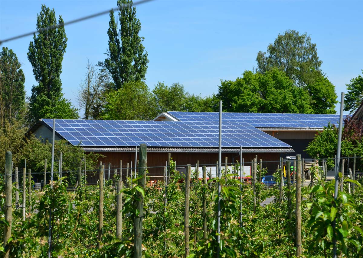 Techo fotovoltaico en una granja