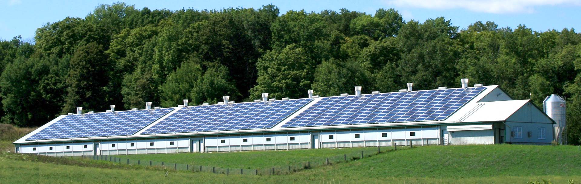 Techo solar en una granja de pollos
